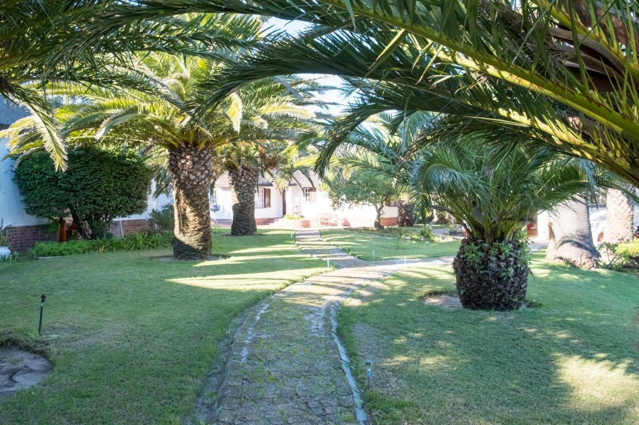 The Sanctuary Guest House Estate Cape Town Exterior photo